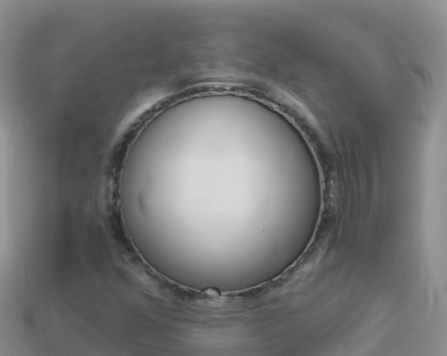 X0000114031352200910091426