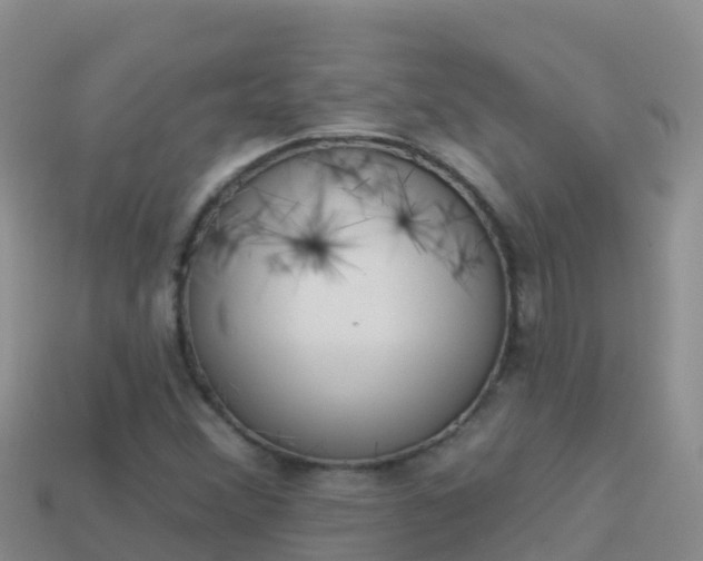 X0000114031356200910091426