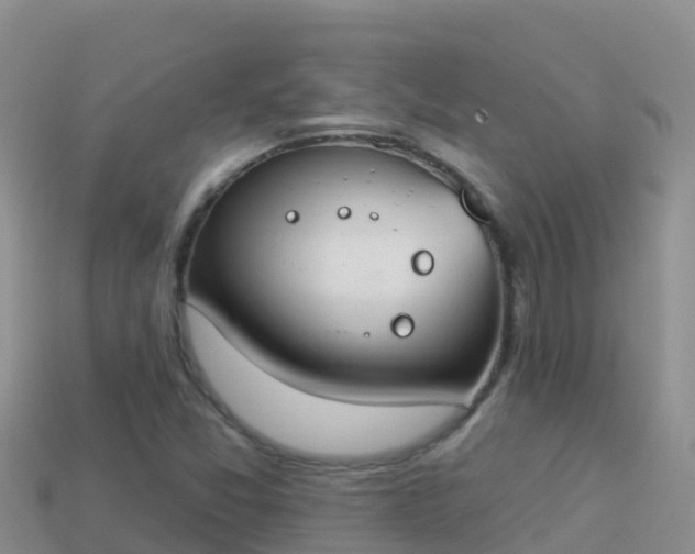 X0000114031357200910091426