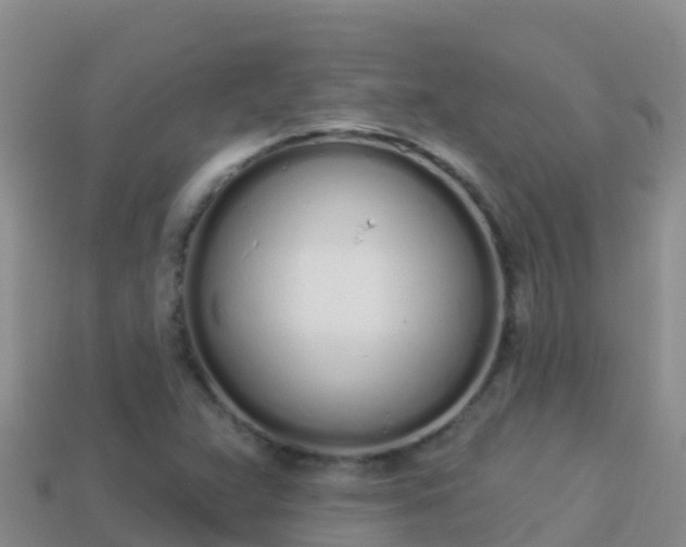 X0000114031359200910091426