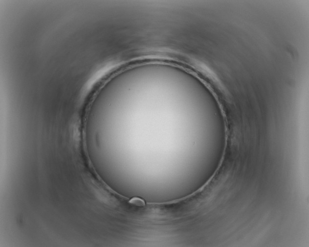 X0000114031360200910091425