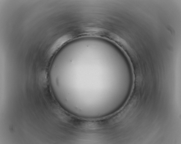 X0000114031362200910091425
