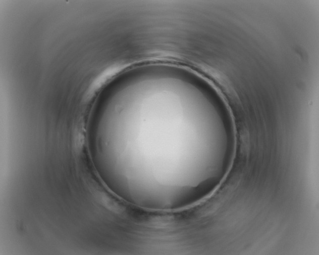 X0000114031363200910091425