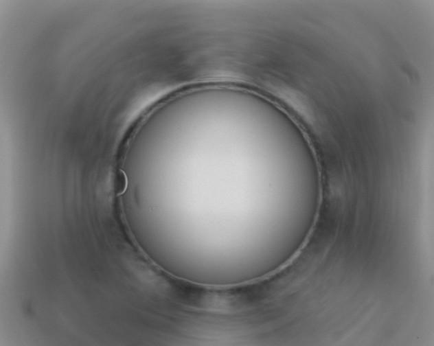 X0000114031364200910091425