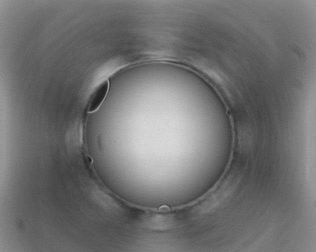 X0000114031365200910091425