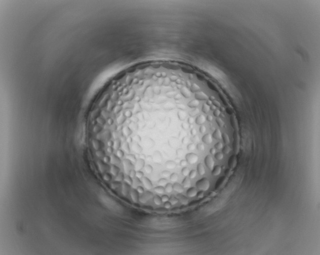 X0000114031366200910091425