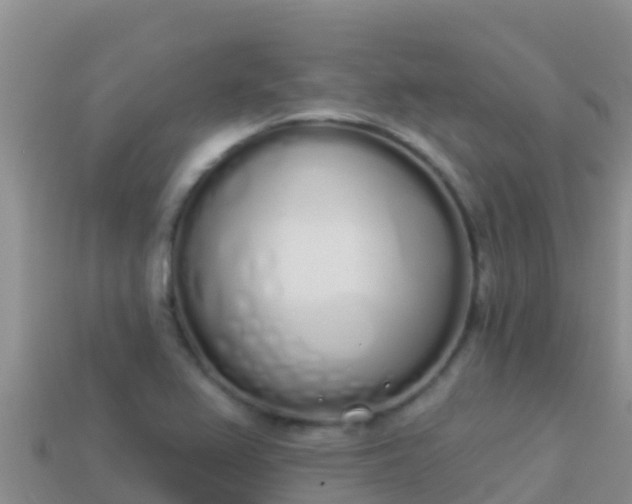 X0000114031367200910091425