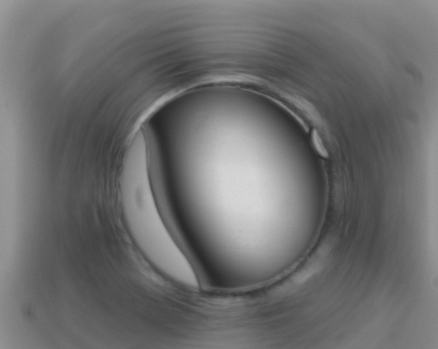 X0000114031369200910091425