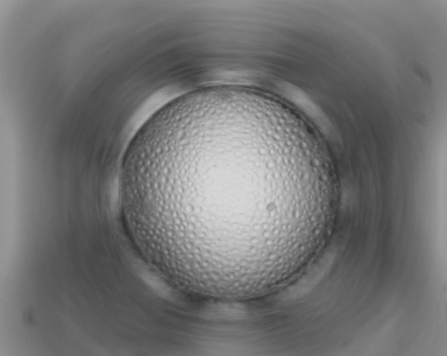 X0000114031370200910091425