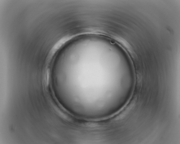 X0000114031371200910091425