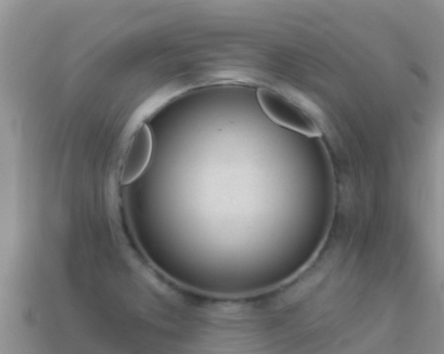 X0000114031373200910091425