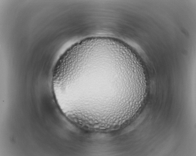 X0000114031374200910091425
