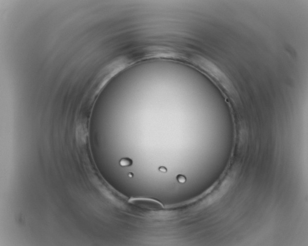 X0000114031377200910091425
