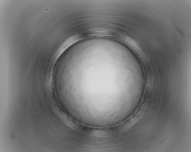X0000114031378200910091425