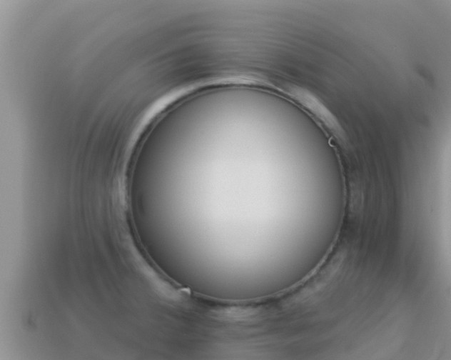 X0000114031380200910091425