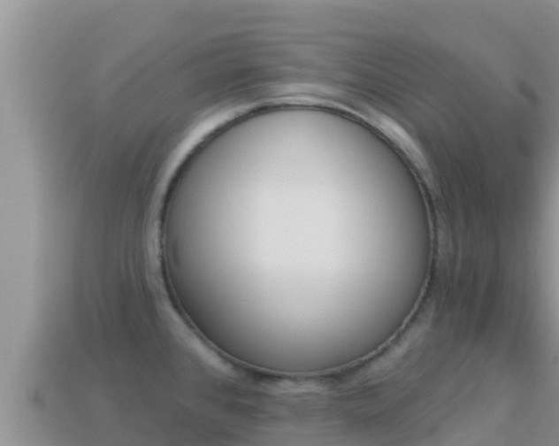 X0000114031384200910091425