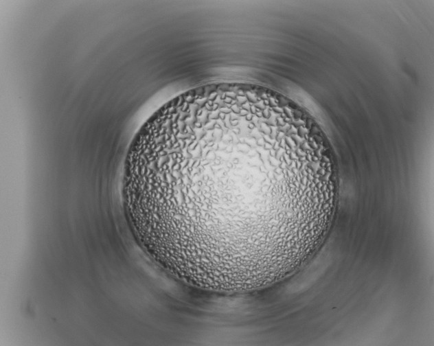 X0000114031386200910091425