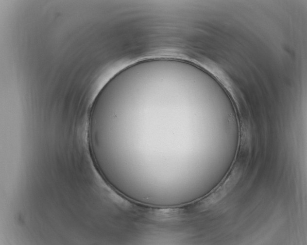X0000114031390200910091425