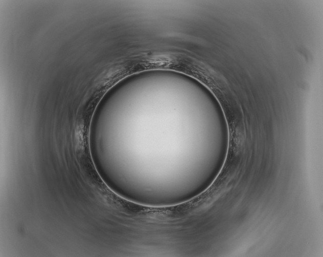 X0000114031394200910091424