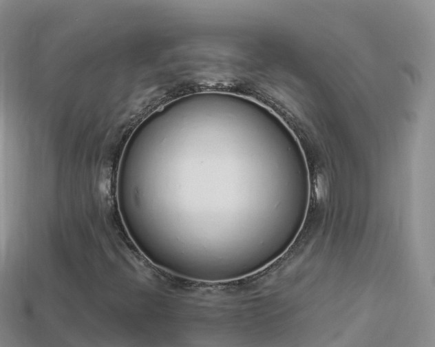 X0000114031396200910091425