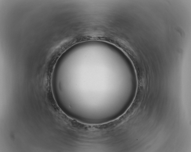 X0000114031398200910091425
