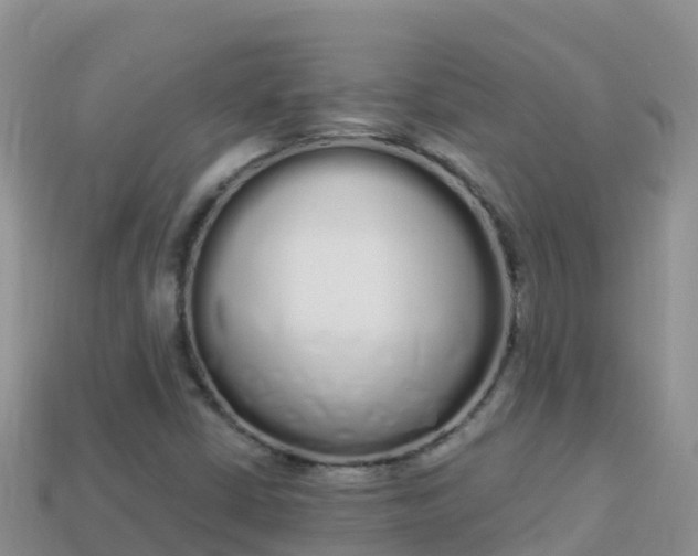 X0000114031402200910091425