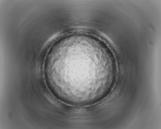X0000114031403200910091425