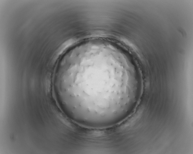 X0000114031409200910091425
