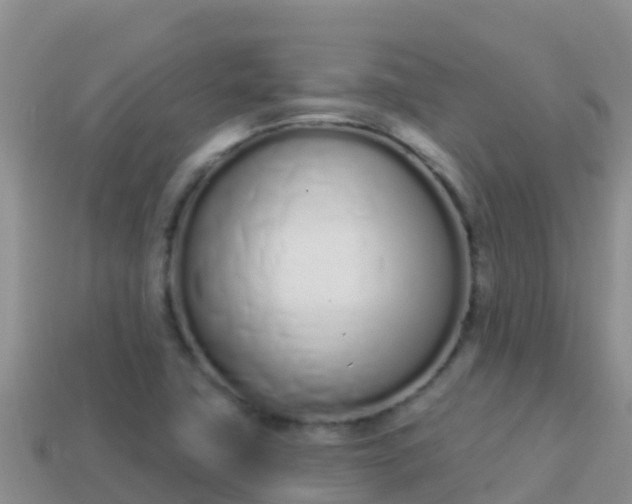 X0000114031411200910091425