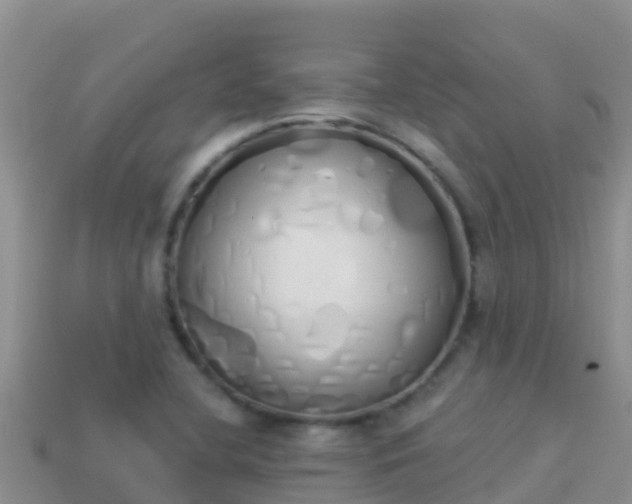 X0000114031412200910091425