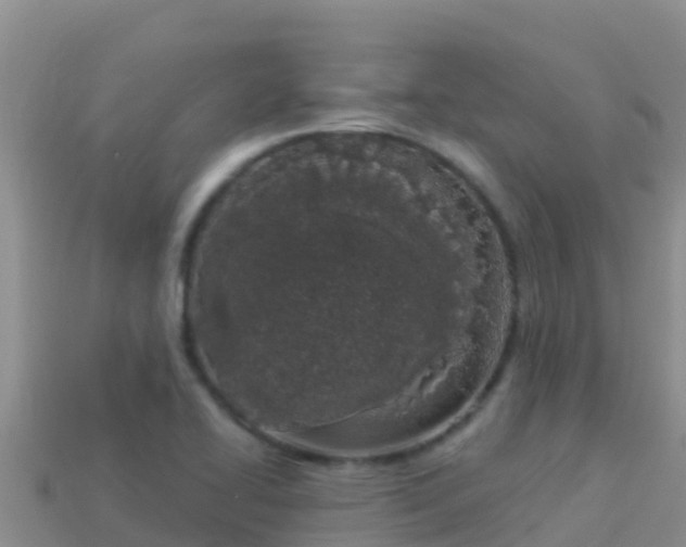 X0000114031414200910091425