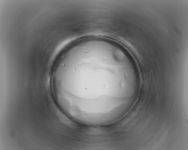 X0000114031416200910091425