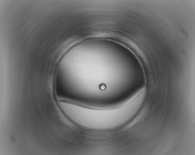 X0000114031417200910091425