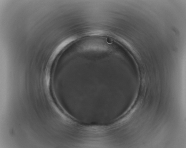 X0000114031418200910091425