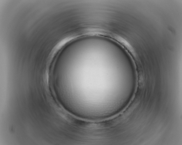 X0000114031419200910091425