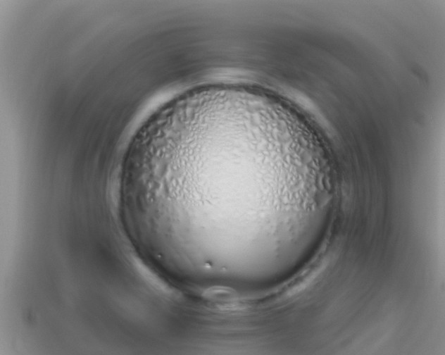 X0000114031421200910091425