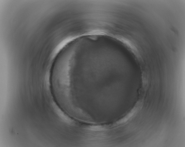 X0000114031422200910091425