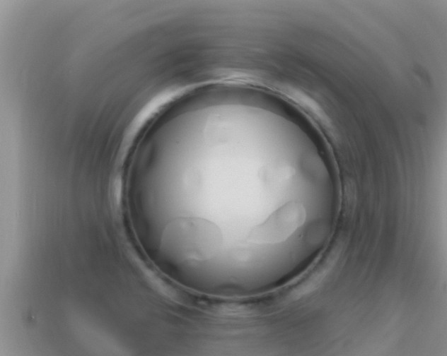 X0000114031424200910091425