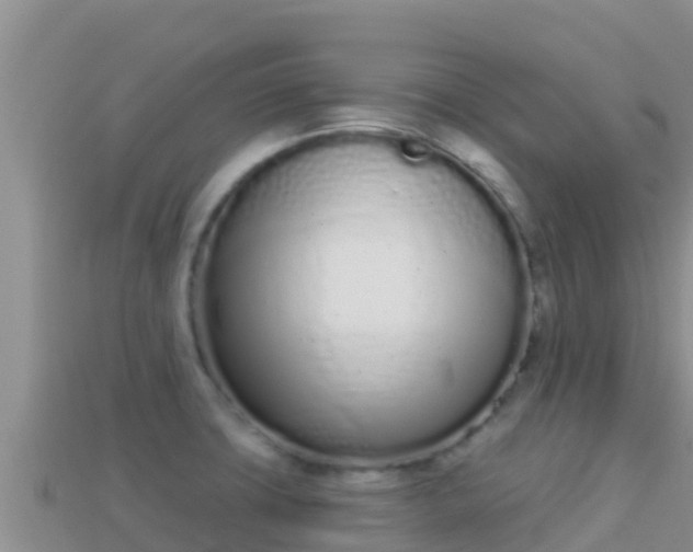 X0000114031427200910091425