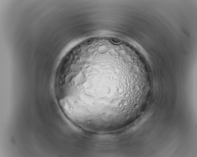 X0000114031429200910091425