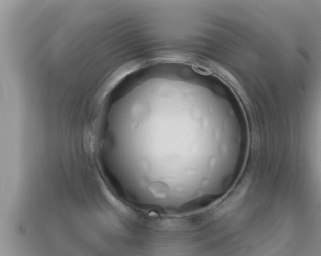X0000114031433200910091425