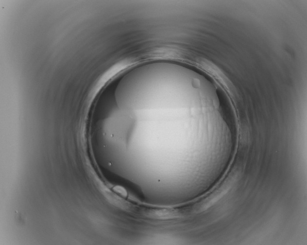 X0000114031434200910091425