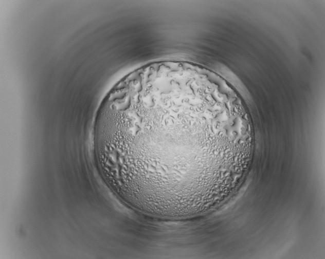 X0000114031436200910091425