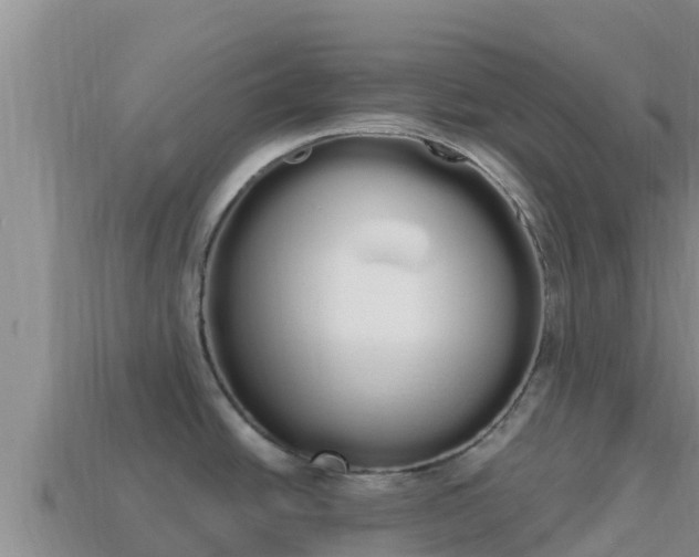 X0000114031438200910091425