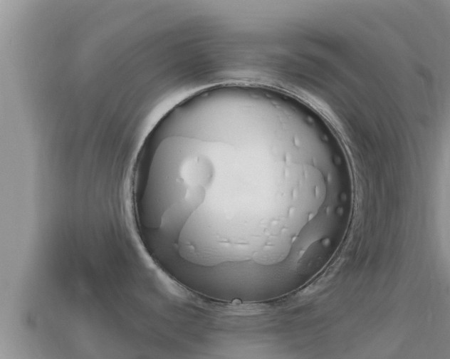 X0000114031440200910091425