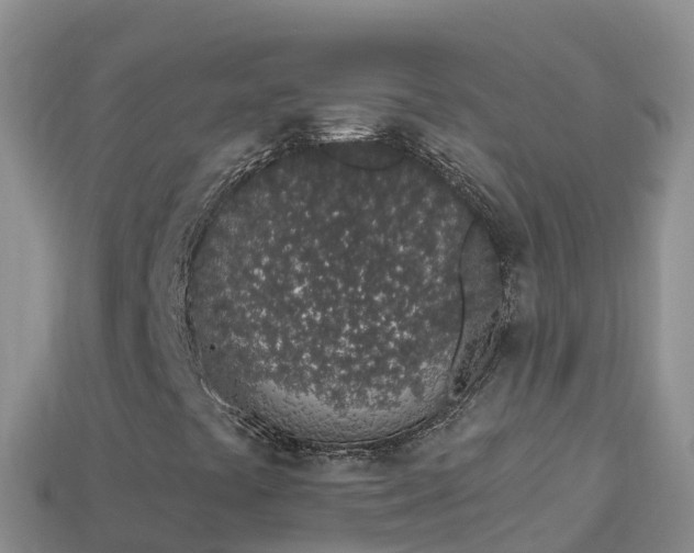 X0000114031441200910091424