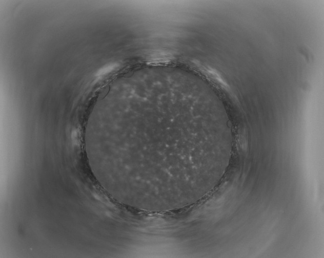 X0000114031445200910091424
