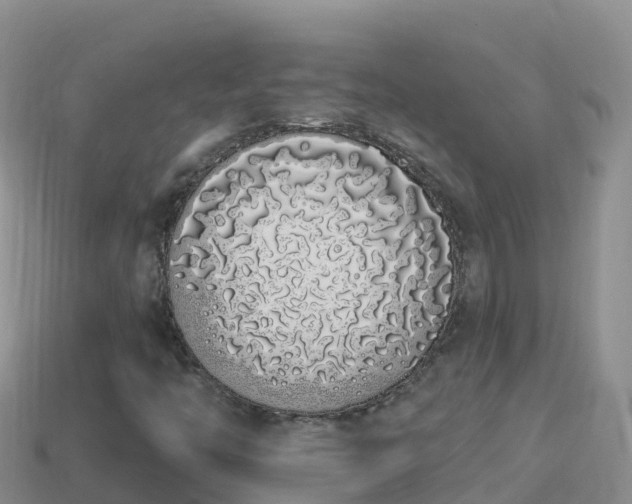 X0000114031446200910091424