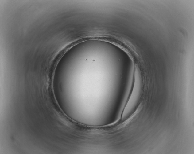 X0000114031449200910091424