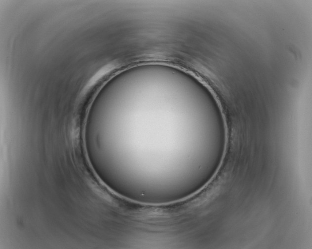X0000114031450200910091424